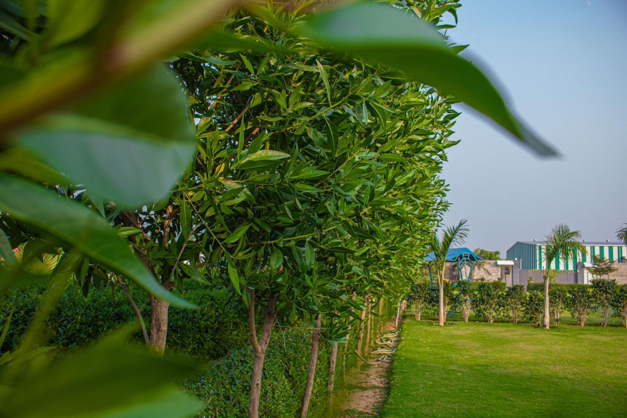 The Peace- A Luxury 2Bhk Private Pool Farm جايبور المظهر الخارجي الصورة